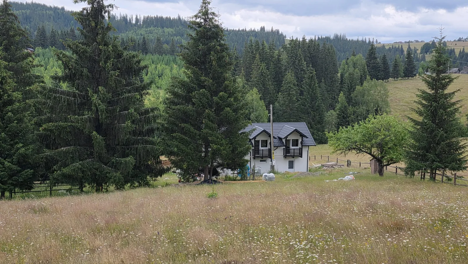Camping Botușel, între poiană și pădure.